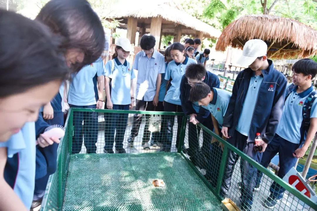耕讀東坡韻，探海少年行——?？谑旋埲A區(qū)山高實驗學(xué)校七八年級文化傳承與科學(xué)探索研學(xué)之旅-圖片4