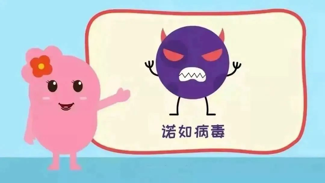 預(yù)防諾如病毒，筑牢校園防線——?？谑猩礁哂變簣@開展“預(yù)防諾如病毒”專項(xiàng)系列行動(dòng)-圖片39
