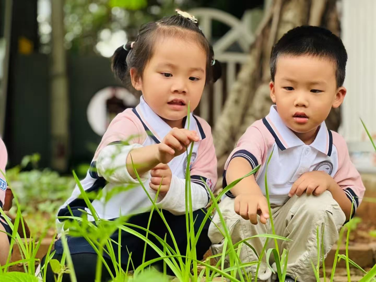 學(xué)前有法 善育有規(guī)——?？谑猩礁哂變簣@2025年學(xué)前教育宣傳月啟動儀式暨《學(xué)前教育法》專題學(xué)習(xí)活動-圖片28