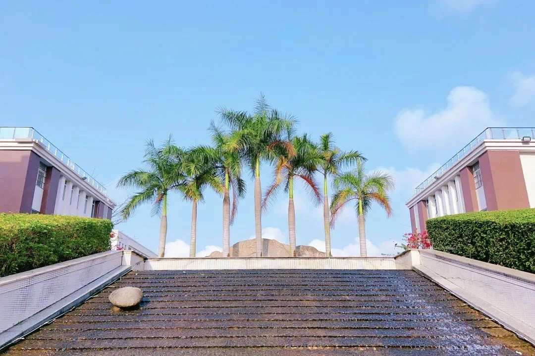 青春赴新途   山高啟華章  |  海口山高高級(jí)實(shí)驗(yàn)中學(xué)高一新生報(bào)到記-圖片8