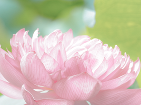 成長(zhǎng)在山高，不負(fù)好時(shí)光‖?？谏礁咧袑W(xué)學(xué)生優(yōu)秀習(xí)作展示（第二十四期）