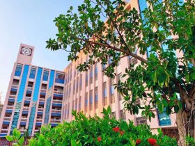 “算”出精彩，“數(shù)”你最棒——?？谏礁邔W校數(shù)學組口算大王比賽