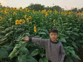 “春暖花開憶清明 習(xí)俗傳承潤童心”——定安縣山高學(xué)校小學(xué)部清明節(jié)主題系列活動